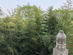 -鸡鸣赐茶(鸡鸣寺路店)