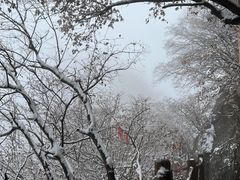 -秦岭终南山世界地质公园翠华山景区