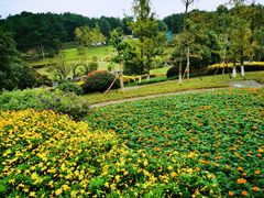 -铁山坪森林公园