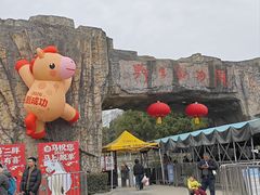 -合肥野生动物园