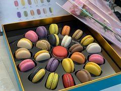 -PAUL LAFAYET 法式甜品(国金中心商场店)