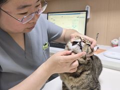 -谐和益家动物医院·免疫绝育·血液透析·宠保定点医院(高新伊藤分院)