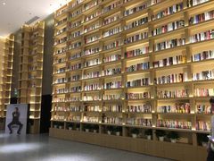 -深影国际影城(学院南路店CGS中国巨幕店)
