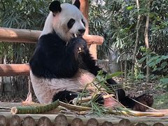 -深圳野生动物园