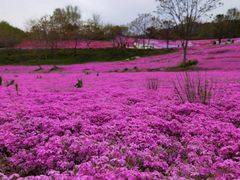 -昆嵛山石门里景区