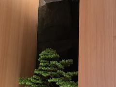 -鱼四季·新融合料理(苏宁广场店)
