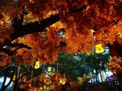 -横店影视城梦幻谷园区