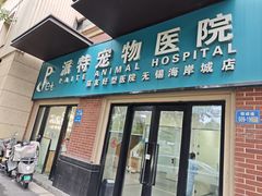 -派特宠物医院(海岸城店)