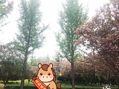 -洨河生态公园