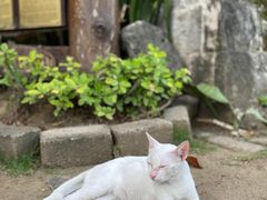 -圣佩德罗堡