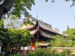 -龙华寺