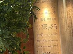 -同仁四季椰子鸡(无锡滨湖万象汇店)