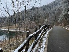 -武陵山森林公园