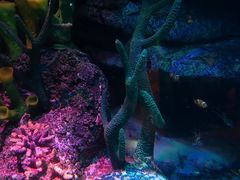 -沈阳海洋探索中心