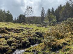 -硗碛藏寨·神木垒景区