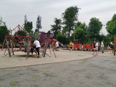 -枫香湖儿童公园