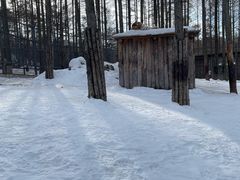 -横道河子东北虎林园