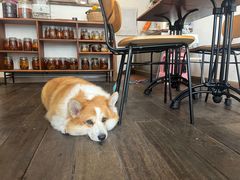 -肥朵食堂(带梦胡同店)