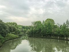 -八大山人梅湖景区