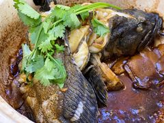 招牌香锅龙胆斑-鑫鸿达·海鲜闽菜热炒小馆(中山路店)