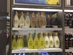 -米兰马尔彭萨国际机场