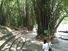 -清远鱼水旅游风景度假区