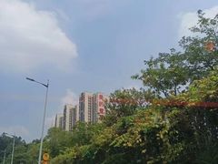 -美的鹭湖探索王国