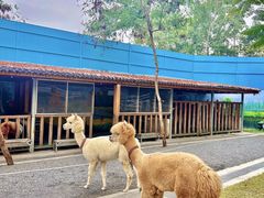 -云栖山谷野奢营地