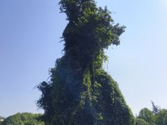 -河南省黄河迎宾馆