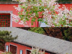 -潭柘寺景区