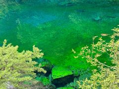 -叠溪松坪沟景区