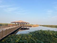 -白洋淀风景区