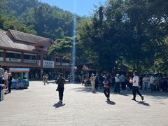 -西双版纳原始森林公园