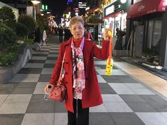 -宝健路步行街(Pedestrian Shopping Street)