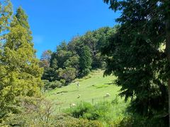 -神户市立六甲山牧场
