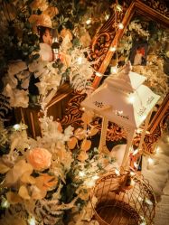 -迈瑞米求婚策划(静安店)