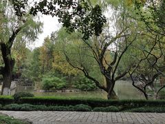 -瀛洲公园