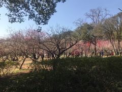 -无锡梅园公园