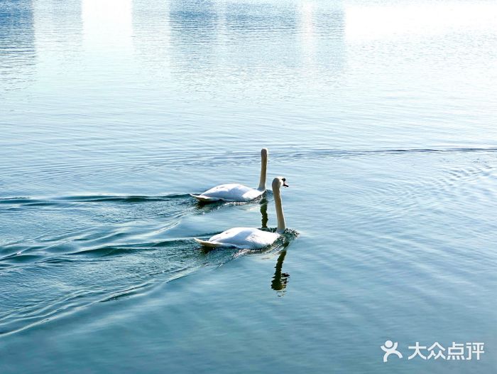 北龙湖湿地公园图片
