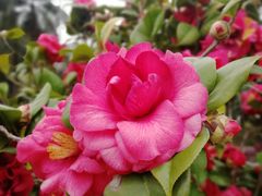 -文华公园(禅城区)