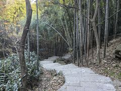 -穹窿山景区