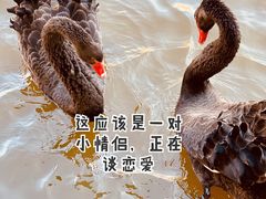 -新疆天山野生动物园