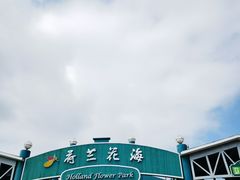 -荷兰花海