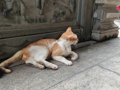 -广东圆玄道观