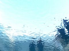 -金泽21世纪美术馆