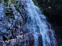 -马峦山郊野公园