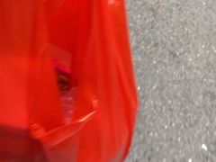 -清平路水族市场