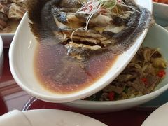 清蒸多宝鱼-碧丽宫大酒店(召稼楼店)