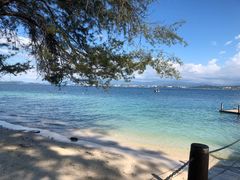 -东姑阿都拉曼海洋公园
