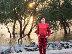 -宝安西湾红树林湿地公园